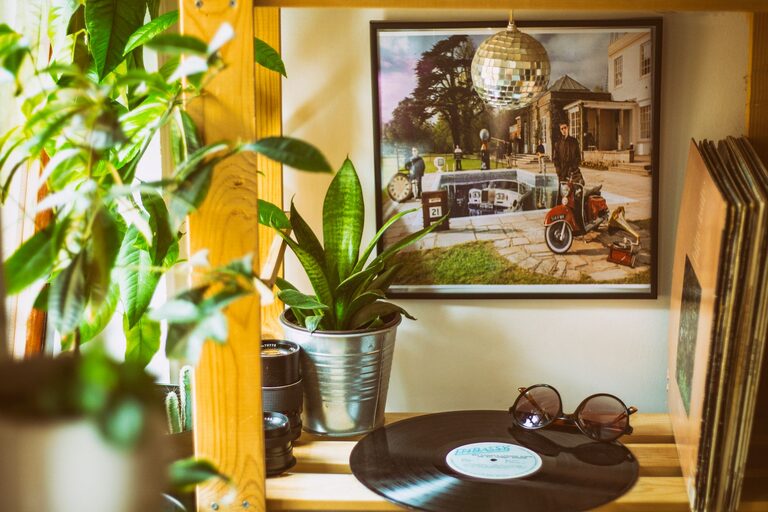 How to Refresh Your Home with Plants for a Vibrant Living Space